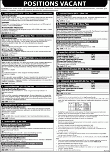 Director, Professor, Associate Professor, Assistant Professor, Deputy Director, Lecturer, Assistant Director, Research Officer Jobs in Government College University Faisalabad