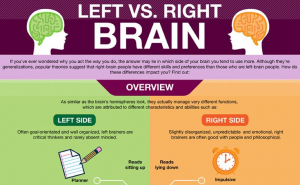 Left Brain Vs. Right Brain The Eye Opening Insights