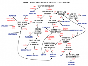 The World’s Most Sophisticated Algorithm for Choosing a Medical Speciality