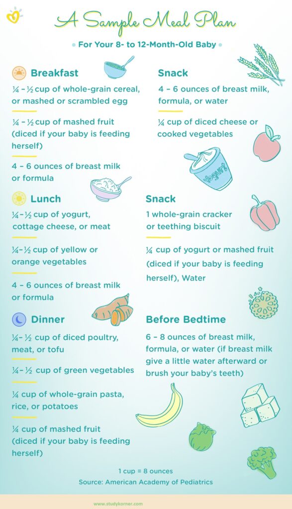 Feeding your 8 Month Old Baby Illustration Chart - medicalkidunya