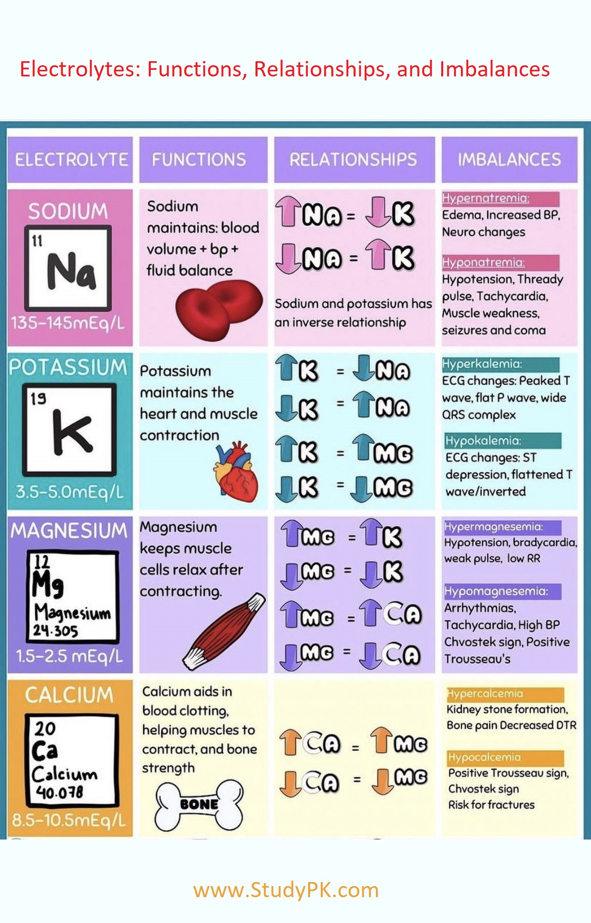 Electrolytes: Functions, Relationships, And Imbalances - Medicalkidunya